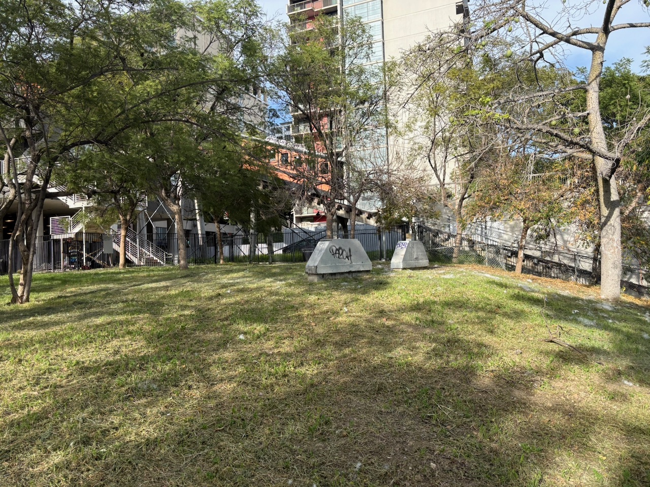 The grassy hilltop of Angel's Knoll park with trees and the city in the background
